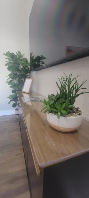 Alluring Luxury Oasis, Modern Comfort & Relaxation Wellington Exterior foto